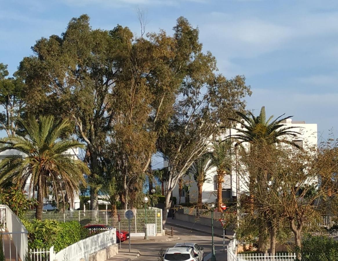 Casa Tritons Βίλα Port de Alcudia  Εξωτερικό φωτογραφία